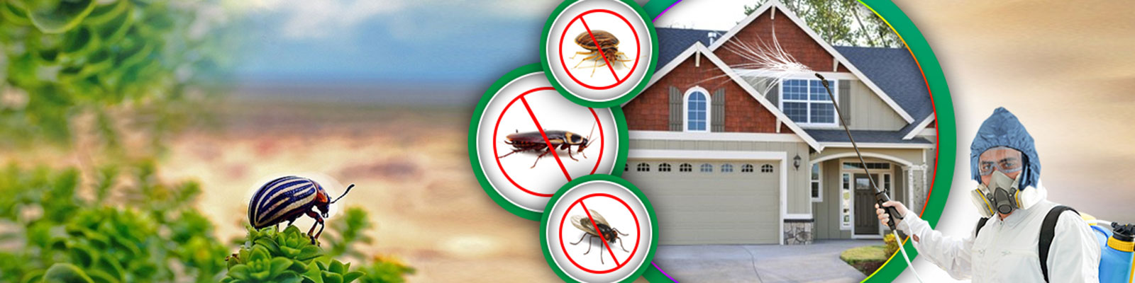 Pest Control Near Me in Delhi, Pest Control Near Me in Gurgaon, Pest Control Near Me in Noida, Pest Control Near Me in Greater Noida, Pest Control Near Me in Faridabad, Pest Control Near Me in Ghaziabad, Pest Control Near Me in Dwarka
